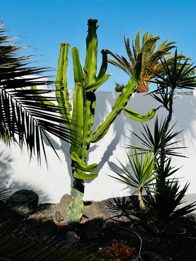 Villa Casa Alizee, Heated Pool, Hot Tub Playa Blanca  Exterior foto